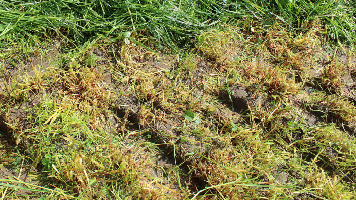 Use grant funding to tackle compaction