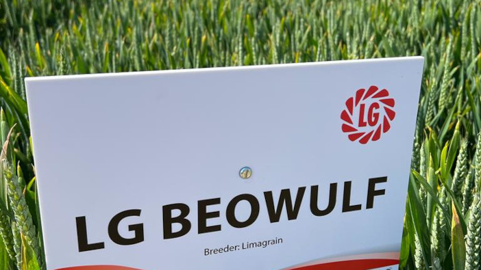 Limagrain to bring high yielding varieties to Cereals