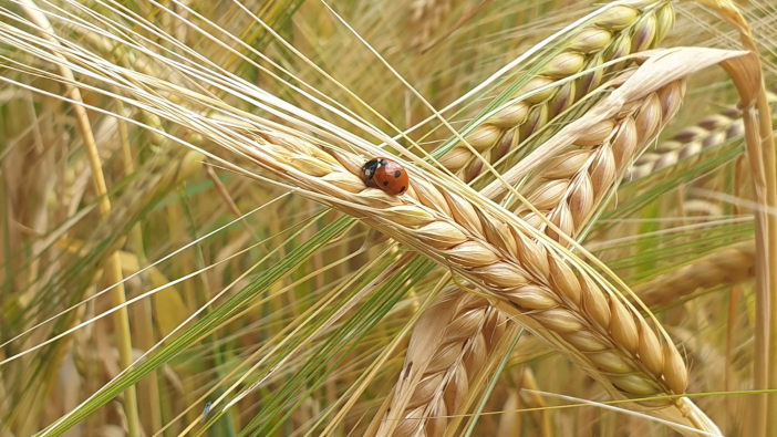 ADAS updates IPM Tool to include benchmarking features