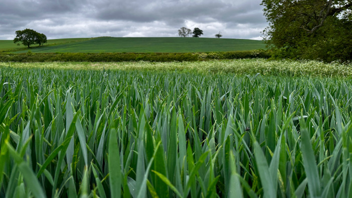 Farmer feedback needed for farm assurance review