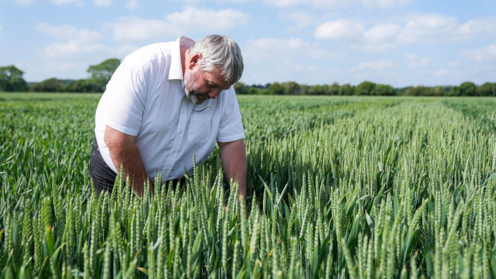 Trials show NUE boost from low carbon fertiliser