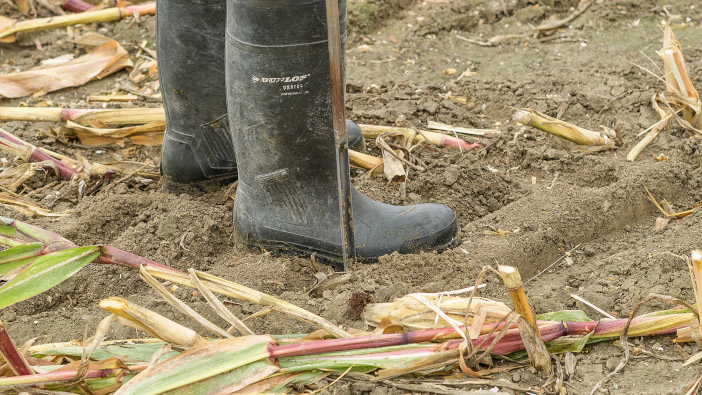 Eurofins offers advice to ‘salvage’ soil health post harvest