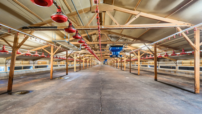 Award winning poultry farm goes on the market