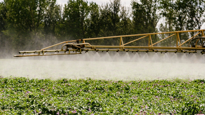 Silver lining for tricky blight season
