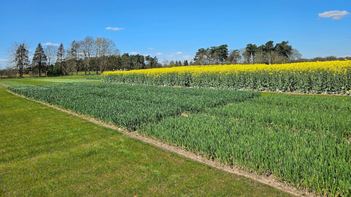AminoA celebrates ten years in the UK