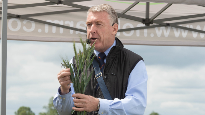 Hutchinsons asks why wheat yields are so variable this season