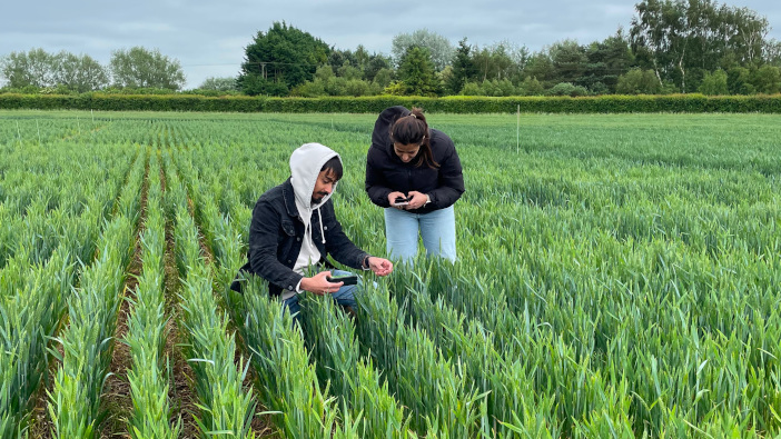 New trials aim to turn pollution into fertiliser