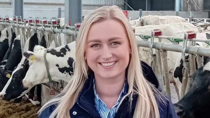 New developments in transition cow management