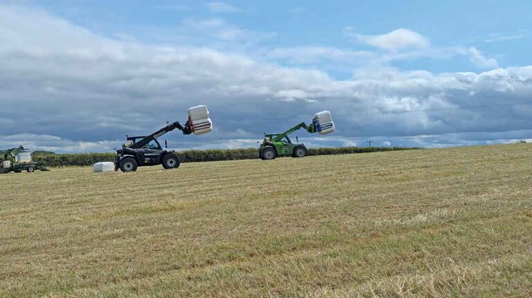 Merlo tractors with telehandlers in the field