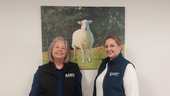 Insurance brokers undertake specialist training with RABI to help rural mental health