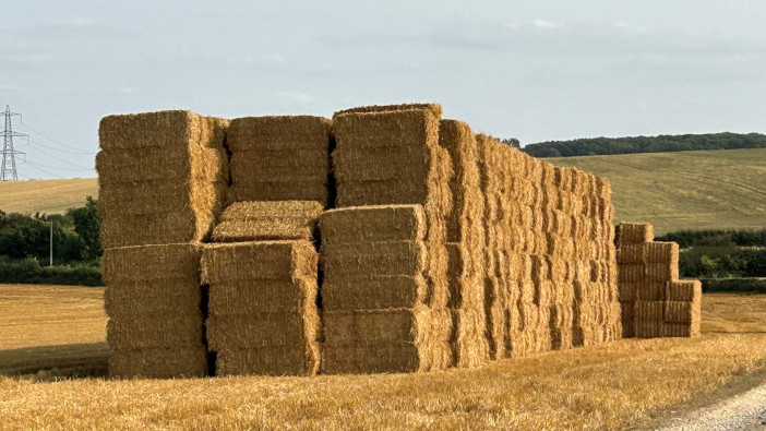 Acres advises growers on how to limit liability around bale stacks