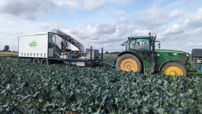 New automated system could solve labour shortages and reduce broccoli waste