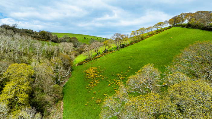 Farmland values stay strong, despite challenges