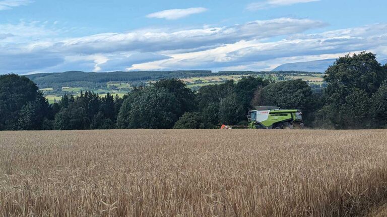 Contractor sets sights on own farming business Claas Lexion working in field
