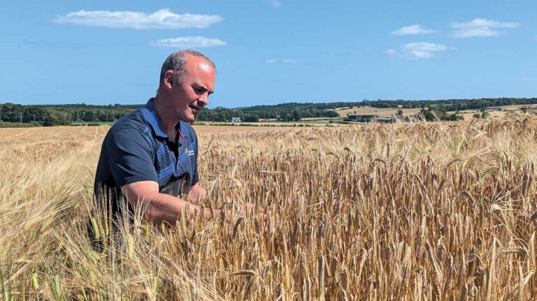 Profile: Importing knowledge to help develop family farm David Bell in crop