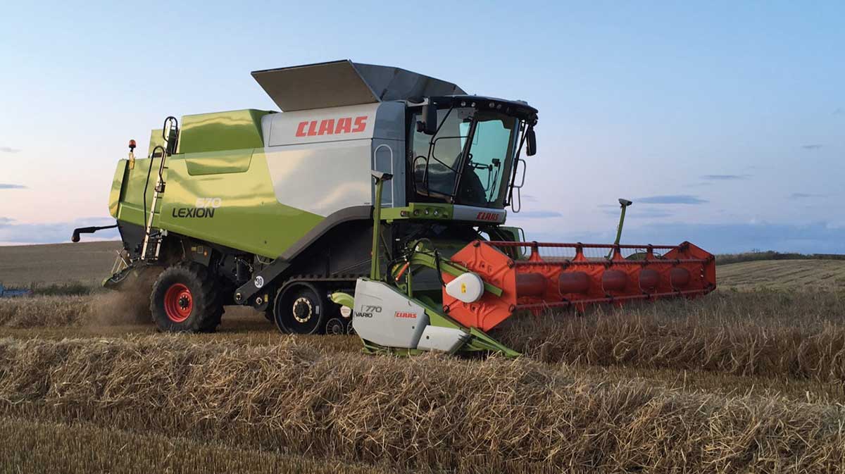 Crop being harvested