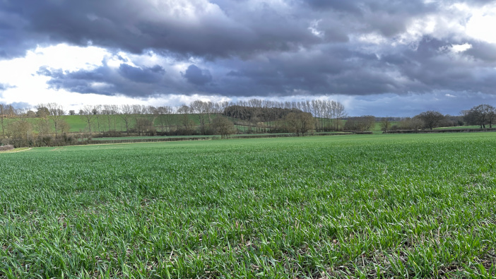 Third quarter sees rise in average land values