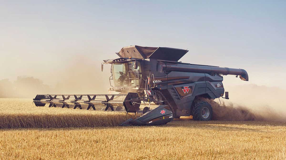 Massey Ferguson IDEAL combine working in field