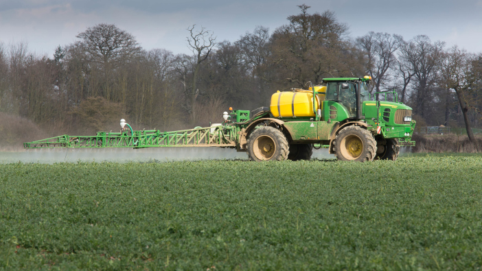 Warm weather could increase weed pressure, as well as benefit OSR crops