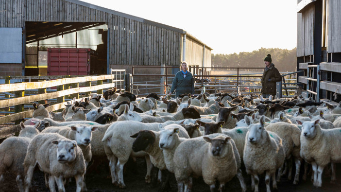 RASE and Nuffield Farming Scholarships launch bitesize guide to succession planning