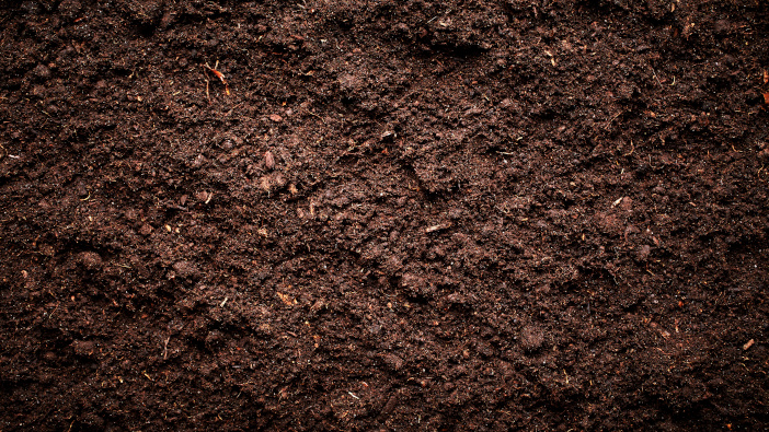 Nutrient imbalances revealed in national soil summary