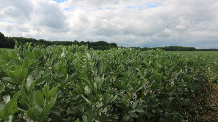 New conference set to tackle dependency on imported soya