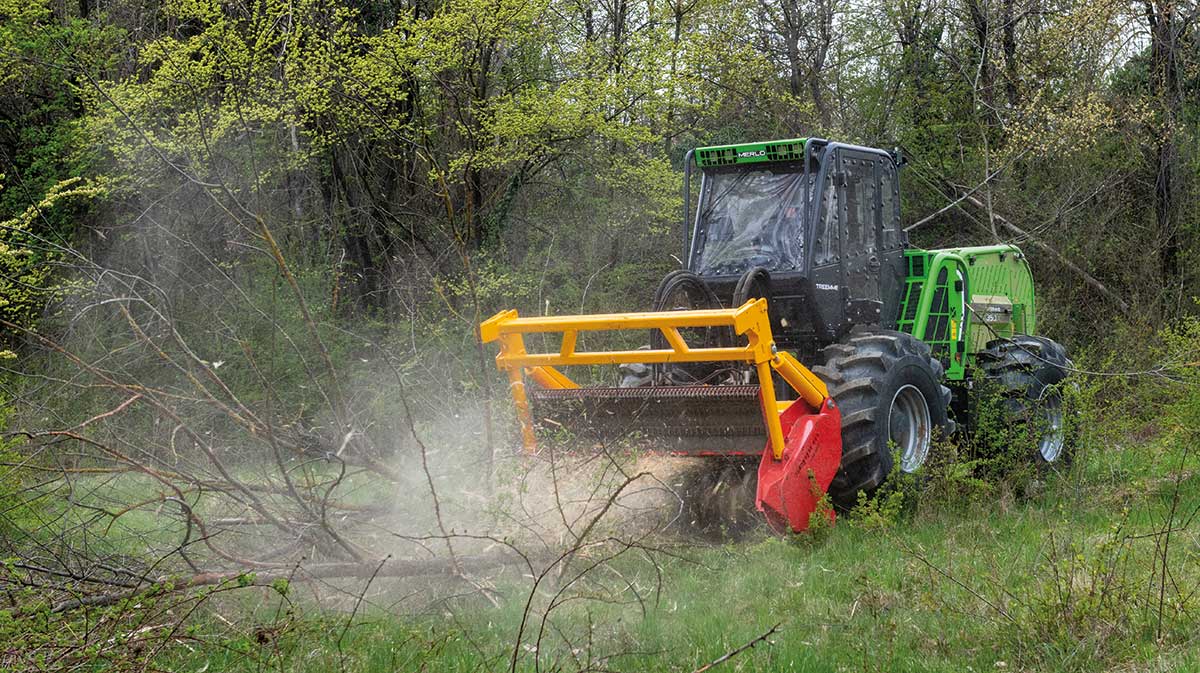 TreEmme tool carrier