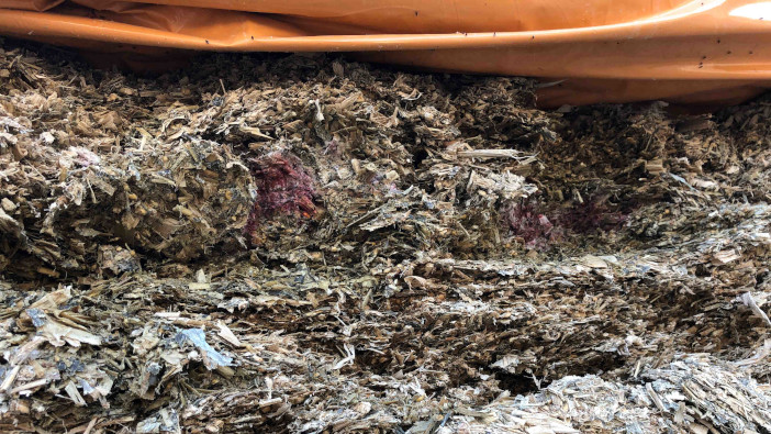 Advice to mitigate mouldy maize