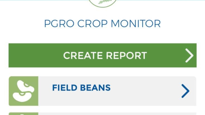 New app to provide pest and disease diagnostics for pulse growers