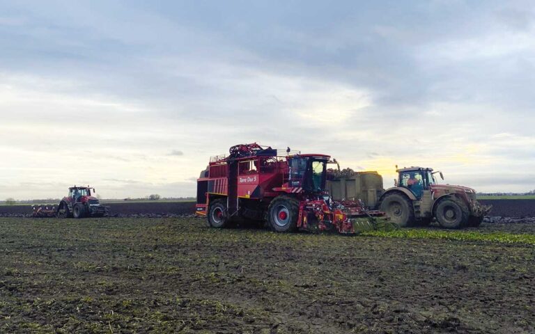 Holmer Terra Dos delivers reliability Holmer Terra-Dos in work