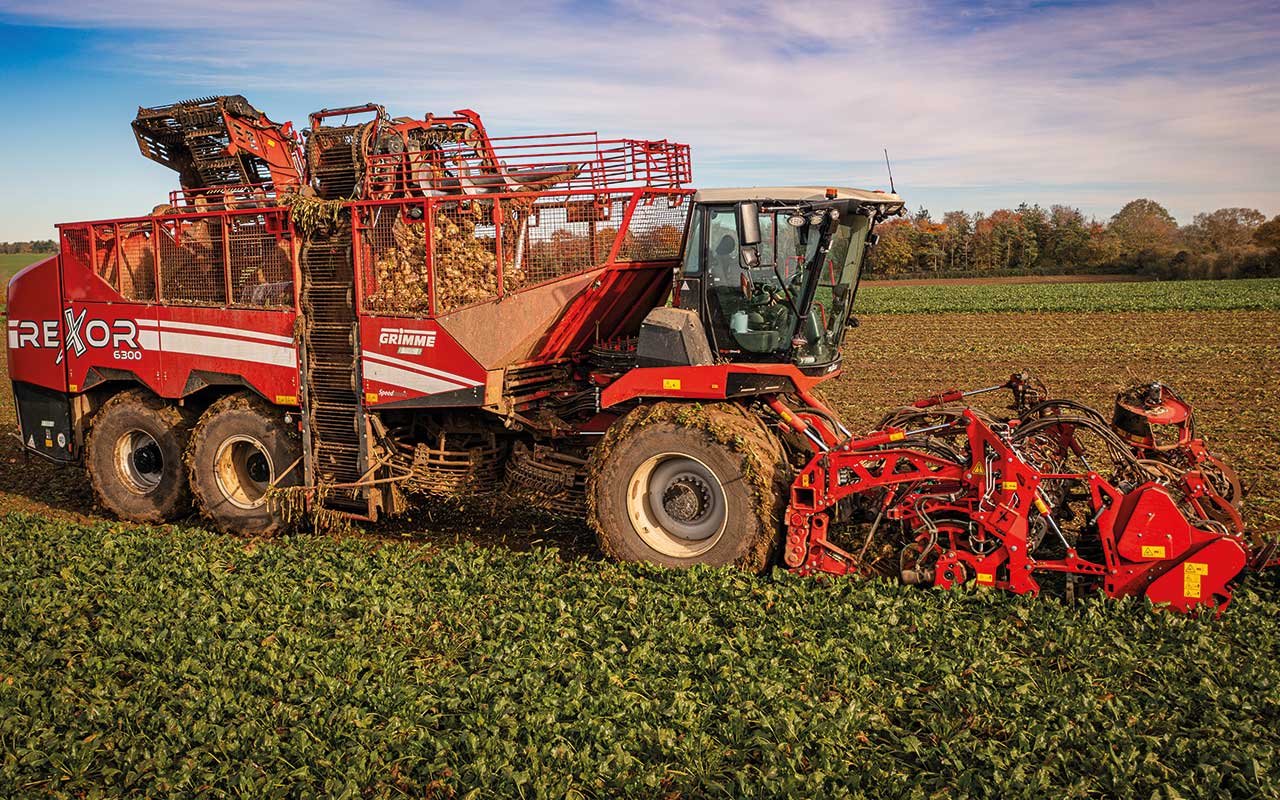 Sugar beet lifting