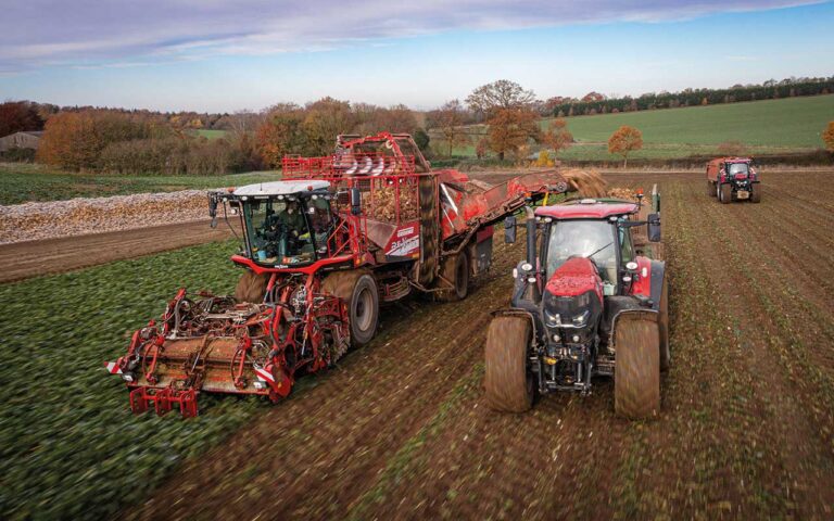 Rexor harvesters offer effiency and good value Sugar beet harvesting
