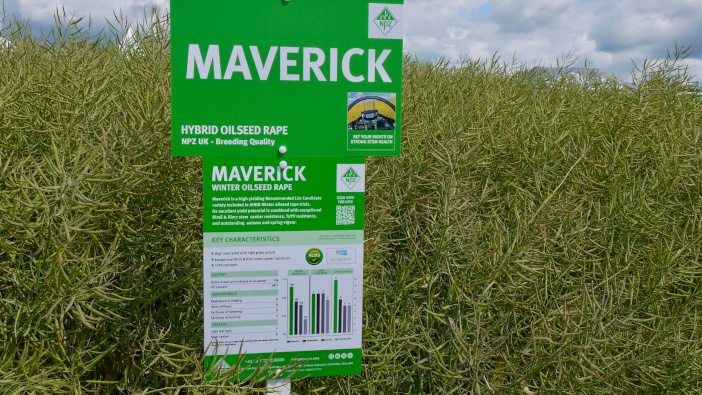 NPZ sees seven varieties included on Recommended List