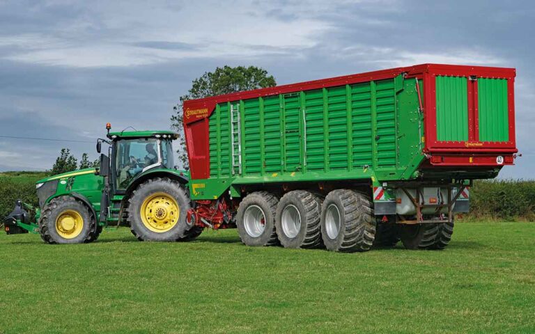 Strautmann’s Magnon proves formidable Strautmann Magno