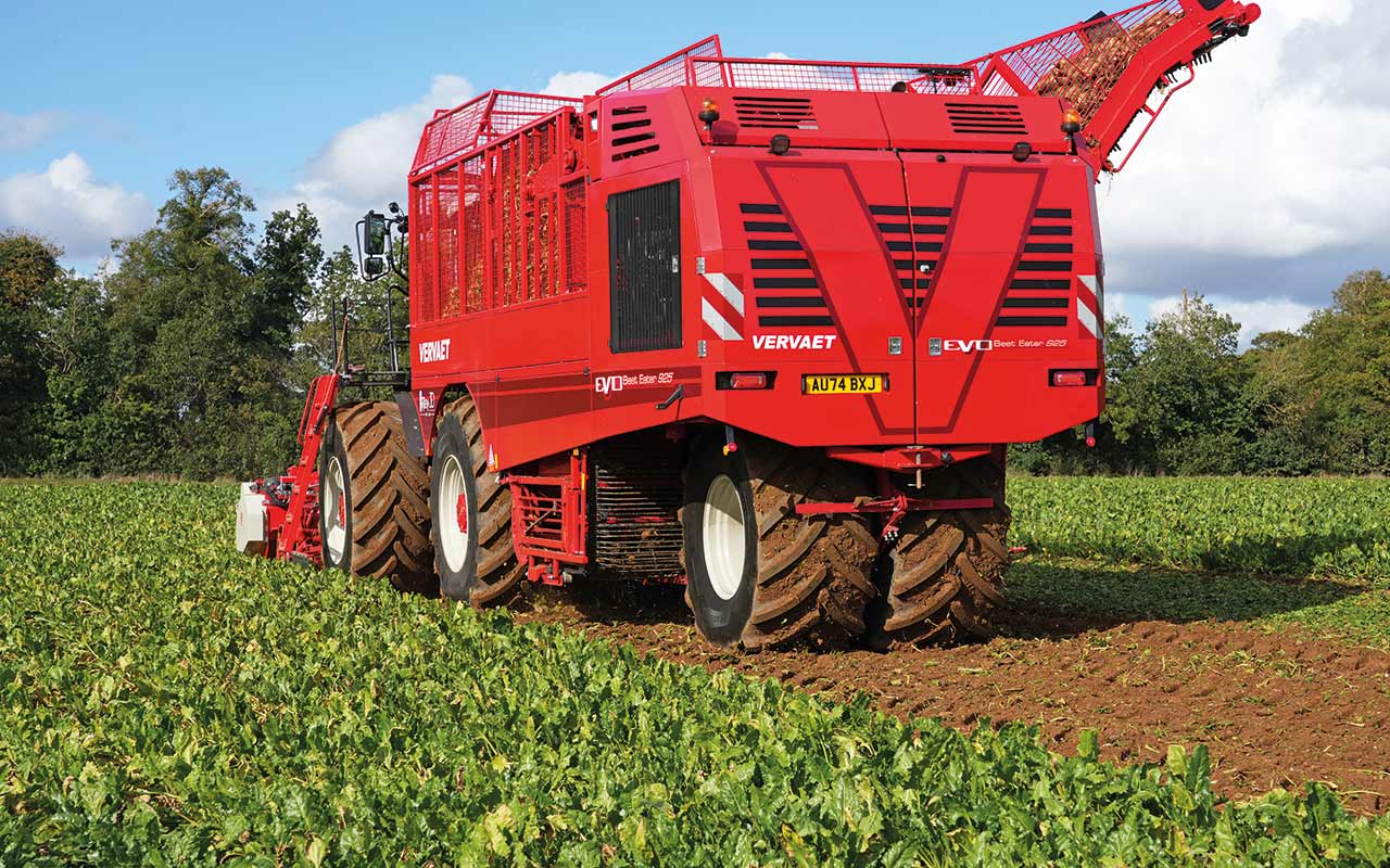  Beet Eater in field