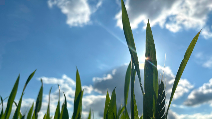 ProCam to showcase FieldSense at Lamma