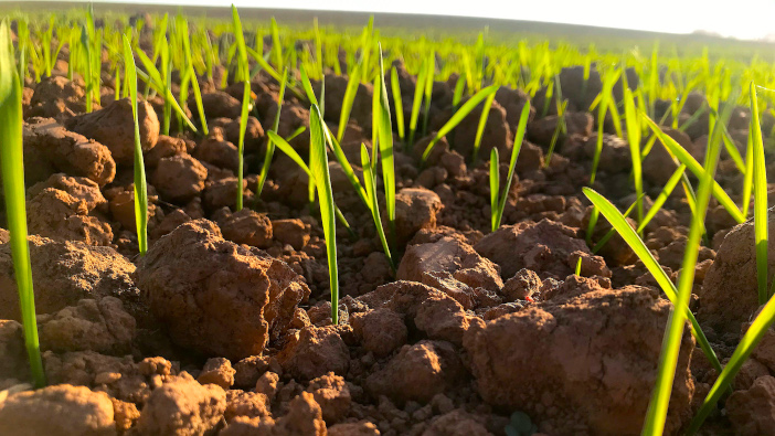 Make sure soil sampling results don’t go to waste