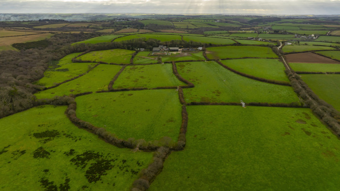 South west England dairy farm tenancy up for grabs