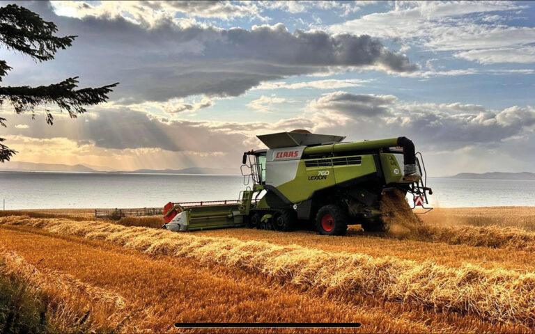 Two Claas Lexions working in field