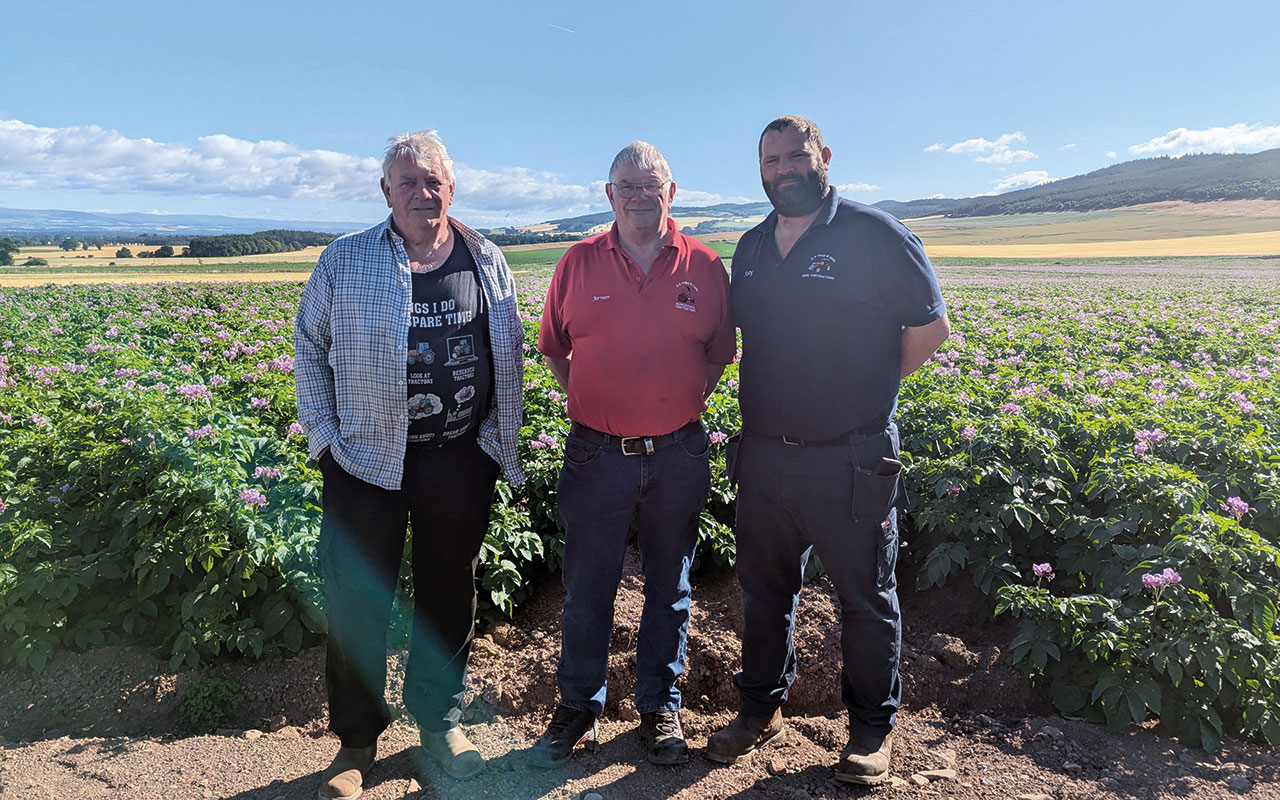 Malcolm, Don and Alistair Hynd in field