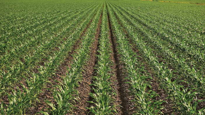 Corteva recommends stabiliser product to keep nitrogen where it’s needed