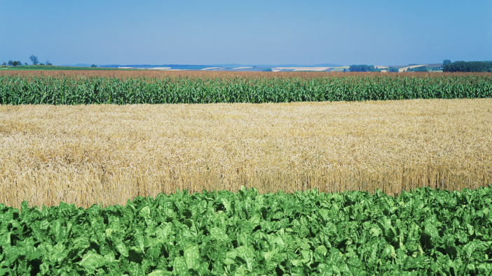 RAGT completes acquisition of Deleplanque Group