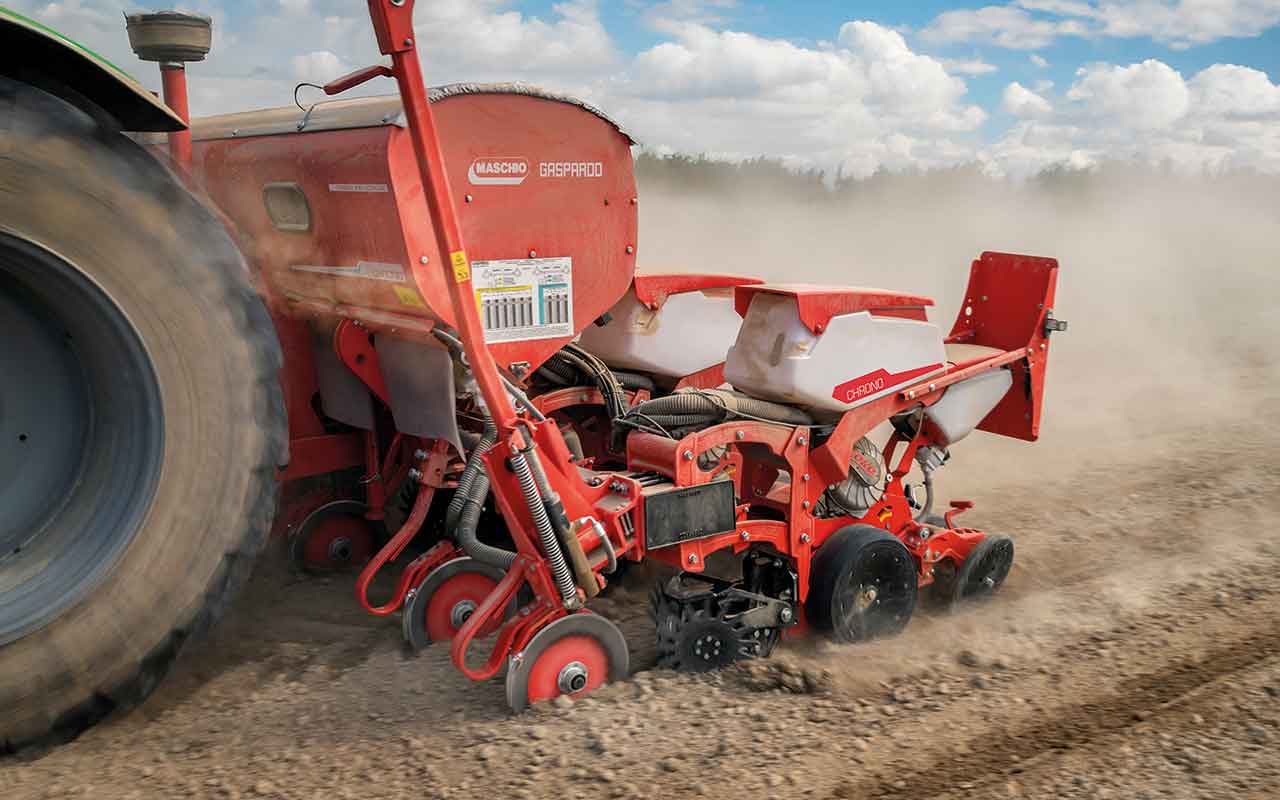 Maschio Chrono