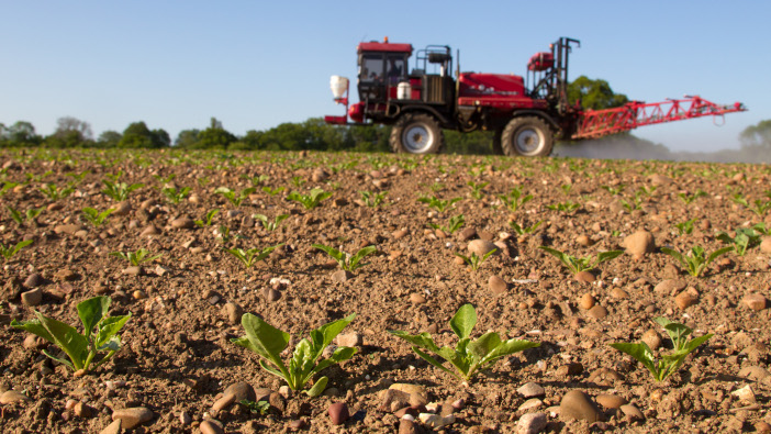 Maximise sugar beet weed control