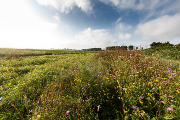 Thousands of farmers to benefit from £30m boost