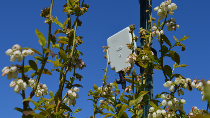 British Sugar announces partnership on pollinator monitoring project