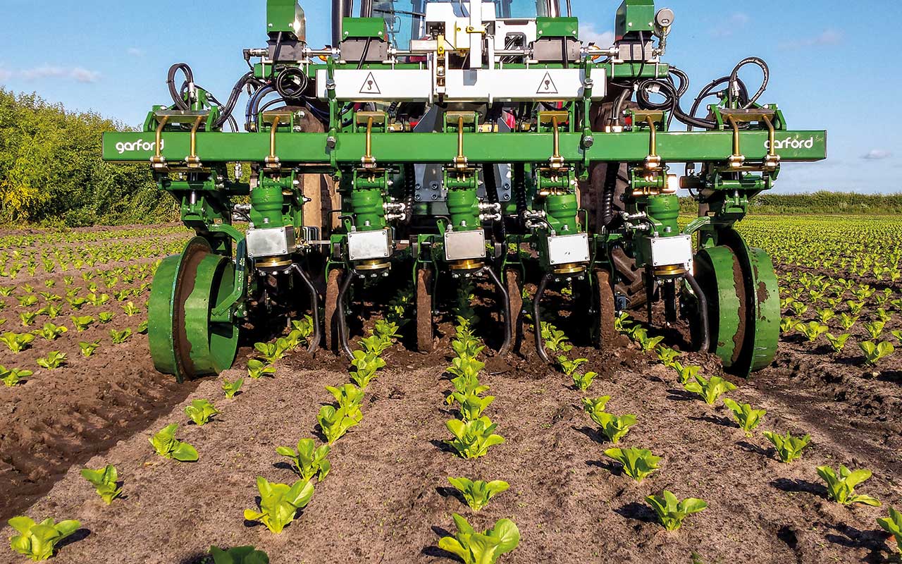 Garford-Inrow weeder