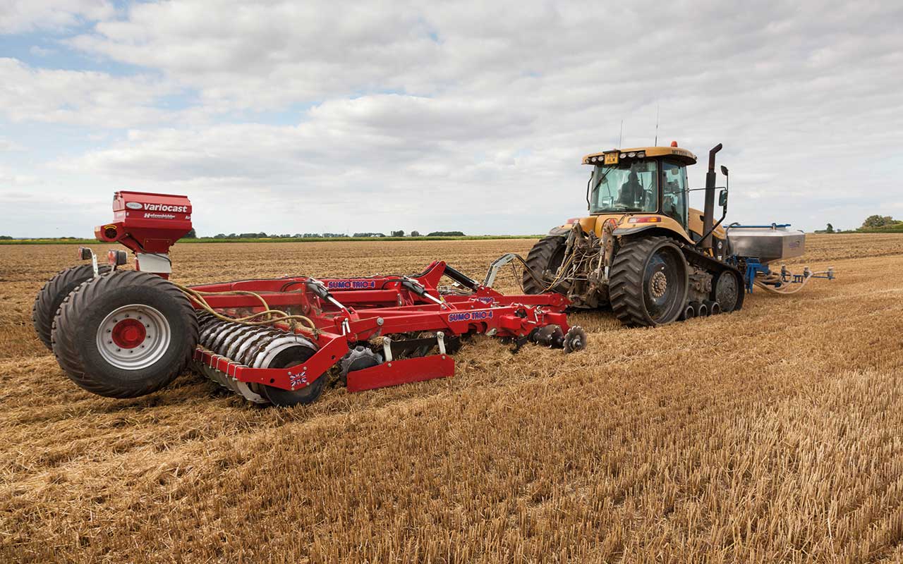 Oilseed rape drilling