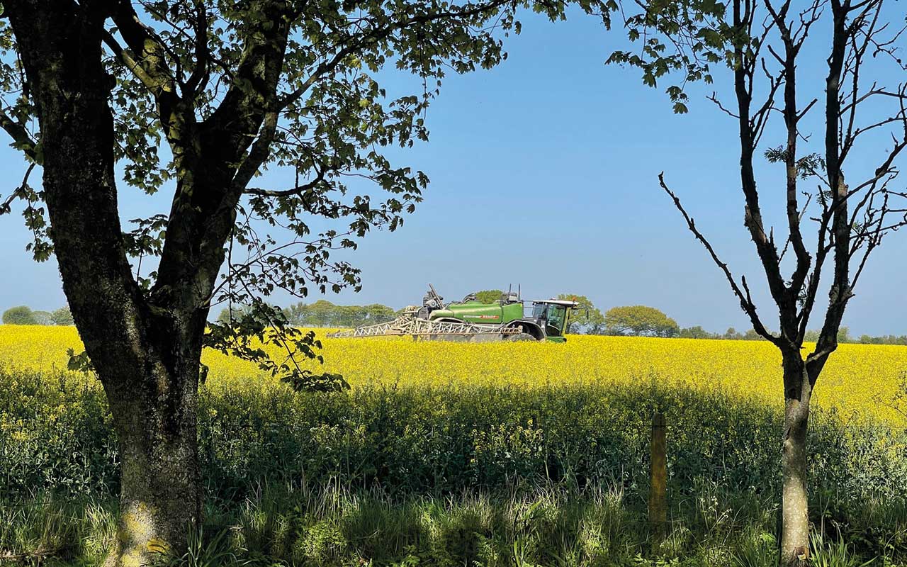 OSR field