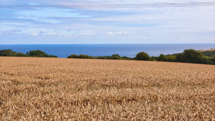 Yorkshire grower looks to continuous development